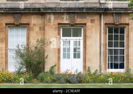 Confine di fiori selvaggi in estate a Oxford Botanic Garden, Oxford, Oxfordshire, Inghilterra Foto Stock