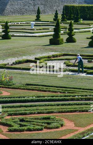 30 luglio 2020, Sassonia-Anhalt, Hundisburg: Giardiniere del paesaggio Anke Klaffehn erbacce in una broderie nel giardino barocco del Palazzo di Hundisburg. I primi edifici del Castello di Hundisburg furono già eretti nel XII secolo. Nel 1452 la famiglia von Alvensleben acquisì il complesso. Johann Friedrich von Alvensleben fece convertire l'Hundisburg in un palazzo barocco e stese il giardino barocco dell'architetto di Stato Braunschweig Hermann Korb alla fine del XVII secolo. Il Palazzo di Hundisburg e il giardino barocco fanno parte della rete 'Garden Dreams - Parchi storici in Sassonia-Anhalt' che ce Foto Stock