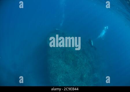 I subacquei nuotano oltre la roccia, il sito di immersione Pintu Kota, Ambon, Indonesia, Oceano Pacifico Foto Stock