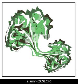 Broccoli. Verde. Cavolo. Cavolfiore. Immagini isolate di verdure su sfondo bianco da una serie di nutrizione corretta, veganismo e vegetariani Illustrazione Vettoriale