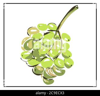 Uva UN mazzo di uve isolate su sfondo bianco. Illustrazione Vettoriale
