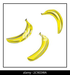 Tre banane. Immagini isolate. Disegnato a mano. Vettore. Vegan. Illustrazione Vettoriale