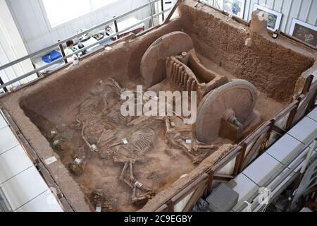 (200731) -- PECHINO, 31 luglio 2020 (Xinhua) -- UN carro di bronzo restaurato è in mostra ad una base dell'Istituto Provinciale di Archeologia di Shaanxi nella città di Xi'an, nella provincia di Shaanxi della Cina nord-occidentale, 30 luglio 2020. Un carro di bronzo, risalente alla dinastia Zhou occidentale (1046-771 a.C.), è stato restaurato da operatori di protezione delle reliquie culturali in un progetto della durata di tre anni, secondo l'Istituto Provinciale di Archeologia di Shaanxi. Il carro, scoperto nel 2014 nel sito di Zhouyuan, nel nord-ovest di Shaanxi, è lungo 3.13 metri, largo 2.7 metri e alto 1.5 metri. Quando è stato scoperto, ha Foto Stock