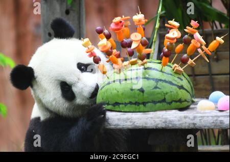 Pechino, provincia cinese di Jilin. 30 luglio 2020. Il panda gigante Chu Xin gode del pasto di compleanno nella sala dei panda del Parco delle Tigri Siberiane a Changchun, nella provincia di Jilin, nella Cina nordorientale, il 30 luglio 2020. Giovedì si è tenuta una festa di compleanno per celebrare il quarto compleanno dei panda giganti Chu Xin e Mu Yun. Credit: LIN Hong/Xinhua/Alamy Live News Foto Stock