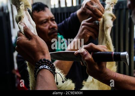 Bandung, Indonesia. 31 luglio 2020. Un uomo musulmano macella una pecora durante le celebrazioni di Eid al-Adha. I musulmani in tutto il mondo celebrano Eid al-Adha, per commemorare la disponibilità del profeta Ibrahim a sacrificare il figlio come segno della sua obbedienza a Dio, durante questa festa sacrificano animali ammessi, generalmente capre, pecore e mucche. Credit: SOPA Images Limited/Alamy Live News Foto Stock