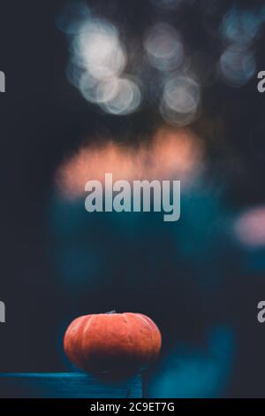 Primo piano di una piccola zucca isolata su uno sfondo scuro e colorato. concetto di halloween Foto Stock