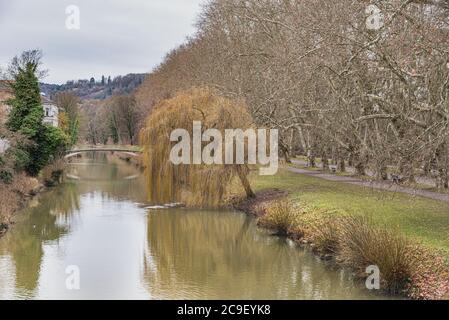 Tranquilla vista invernale sul fiume Neckar e sul Neckarinsel isola dal popolare Eberhardsbrucke con un salice piangente vicino La riva del fiume Neckar Foto Stock
