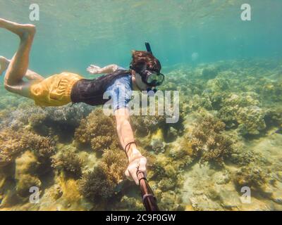 Lo snorkeling in un giardino di corallo con colorati pesci tropicali, Mar dei Caraibi Foto Stock