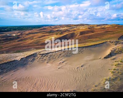 Bellissimo paesaggio delle dune grigie, dune morte alla spiedia curoniana a Nida, Neringa, Lituania Foto Stock