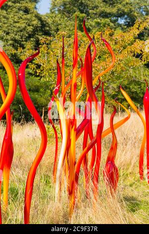 Kew Royal Botanical Gardens iconico Dale Chihuly Reflections Mostra sculture in vetro colorato scultura arte dettaglio & Cattails Copper Birch Reeds Foto Stock