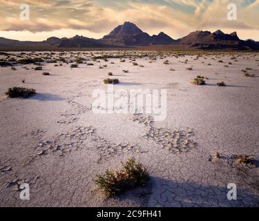 Stati Uniti - UTAH: Bonneville Saline presso il Grande Lago Salato deserto Foto Stock