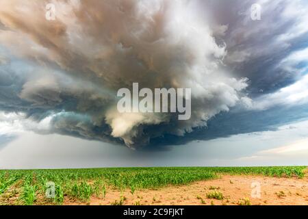 Panorama of a massive mesocyclone weather supercell, which is a pre-tornado stage, passes over a grassy part of the Great Plains while fiercely trying Foto Stock