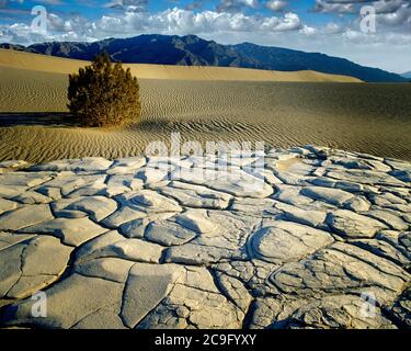 USA - CALIFORNIA: Parco nazionale della Valle della morte Foto Stock