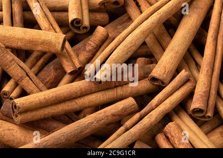 Cinnamomum cassia dried primo piano full frame Foto Stock