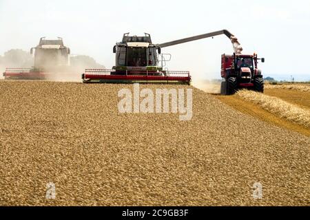 Trebbiatrice mietitrebbia che taglia un raccolto di grano in Repubblica Ceca Foto Stock