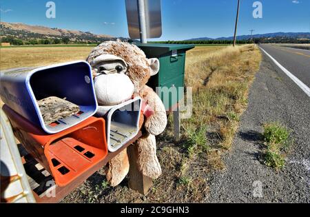 Posta rurale della California e scatola di giornale sul lato della strada di campagna con un vecchio orsacchiotto imbottito del bambino che protegge il contenuto delle consegne Foto Stock