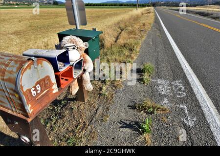 Posta rurale della California e scatola di giornale sul lato della strada di campagna con un vecchio orsacchiotto imbottito del bambino che protegge il contenuto delle consegne Foto Stock