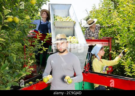 Ritratto di fiducioso uomo agricoltore che mostra mele mature orgogliosi del buon raccolto, persone che lavorano su piattaforma di raccolta sullo sfondo Foto Stock