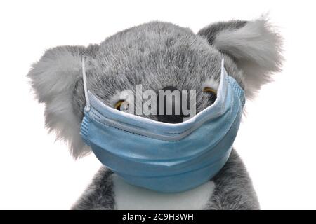 Orso di koala giocattolo morbido dall'Australia che indossa una maschera facciale protettiva, usa e getta di colore azzurro. Coronavirus, tema pandemico Covid-19. Foto Stock