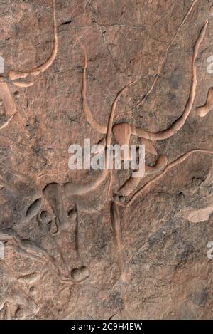 ARTE RUPESTRE PREISTORICA E INCISIONI IN ALGERIA, Tadrart Rouge e Tassili n’Ajjer nel DESERTO DEL SAHARA. Foto Stock