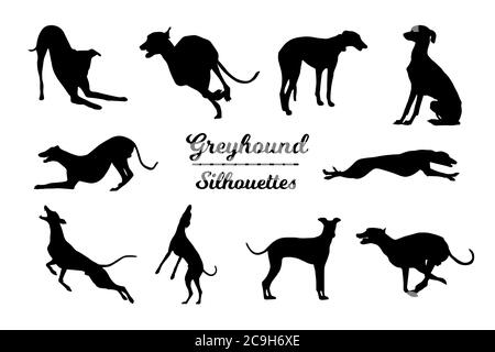 Sagome Greyhound. Contorni in bianco e nero Illustrazione Vettoriale