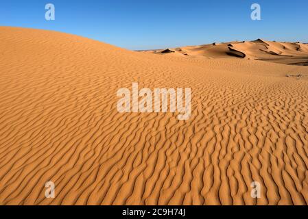 DUNE DI SABBIA DEL DESERTO INTORNO A TIMIMOUN, ALGERIA. SITUATO VICINO AL LAGO SALT E CIRCONDATO DA DUNE DEL SAHARA. Foto Stock