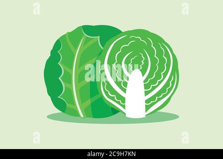 Cavolo verde isolato su sfondo verde. Illustrazione Vettoriale