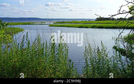 GANCIO DI SABBIA, NK –16 LUG 2020- Vista panoramica della spiaggia sulla Sandy Hook Bay nella Gateway National Recreation Area, Sandy Hook, New Jersey, United Foto Stock