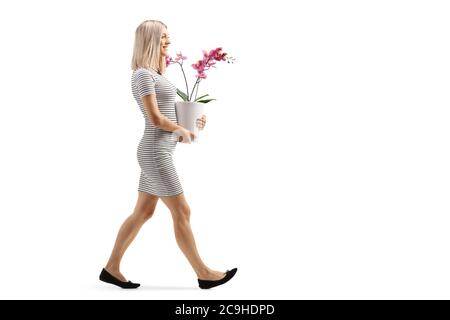 Foto di profilo a lunghezza intera di una giovane donna che cammina un portatore di un vaso di fiori orchidee isolato su sfondo bianco Foto Stock