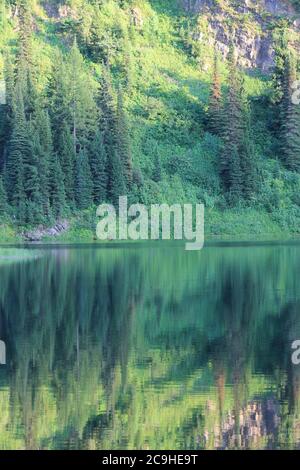 Lake Elsie, Shoshone County, Idaho, Stati Uniti Foto Stock