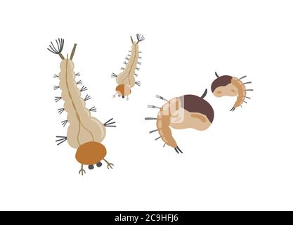 Larva zanzara isolato su sfondo bianco. Illustrazione Vettoriale