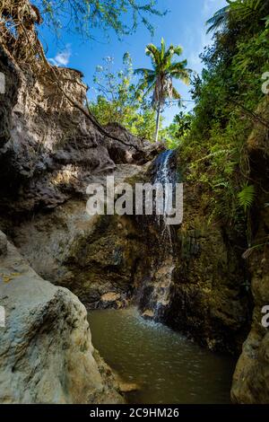 Fairy Springs - Suoi Tien a Mui NE, zona di Phan Tiet in Vietnam. Paesaggio con cielo blu. Foto Stock