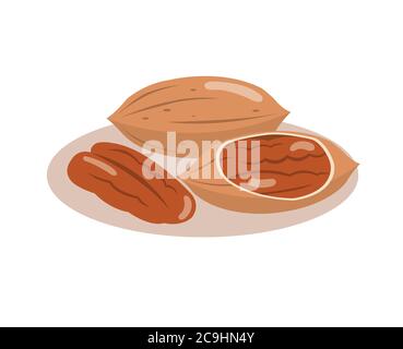 Noci pecan isolate su sfondo bianco. Illustrazione Vettoriale