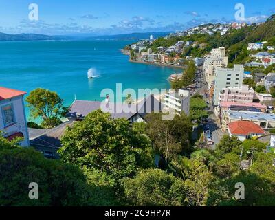 Vista di Wellington, Nuova Zelanda, dal Monte Victoria Foto Stock