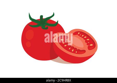 Pomodori isolati su sfondo bianco. Pomodori tagliati a metà su fondo bianco. Illustrazione Vettoriale