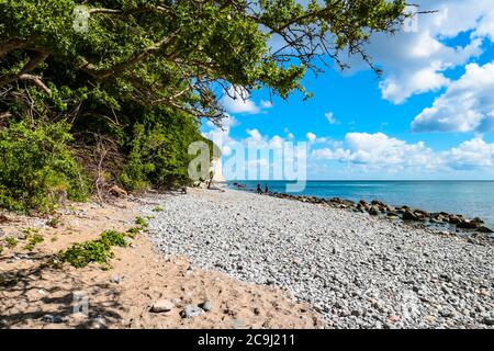 Spiaggia di ciottoli e scogliere di gesso sulla spiaggia di Piratenschlucht (gola dei pirati) sul Mar Baltico nel Parco Nazionale di Jasmund, Isola di Rügen, Germania. Foto Stock