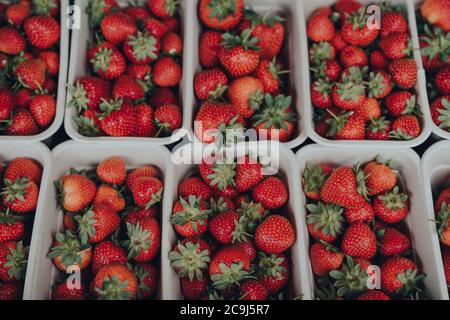 Vista dall'alto di fragole fresche in vendita in un mercato di strada, ripartite in scatole di cartone riciclate, fuoco selettivo. Foto Stock