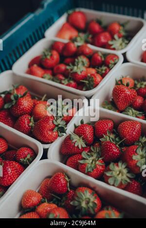 Fragole fresche in vendita presso un mercato di strada, ripartite in scatole di cartone riciclate, fuoco selettivo. Foto Stock