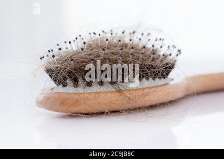 Spazzola per capelli ricoperta di capelli, scatto in studio. Foto Stock