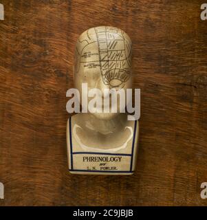 Testa di Phroenologia su sfondo di legno. Foto Stock