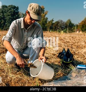 Analisi del suolo. Specialista Agronomia prelievo di campioni di terreno per l'analisi della fertilità. Foto Stock