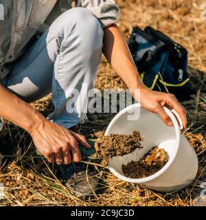 Analisi del suolo. Specialista di Agronomia che preleva il campione di terreno per l'analisi della fertilità. Foto Stock