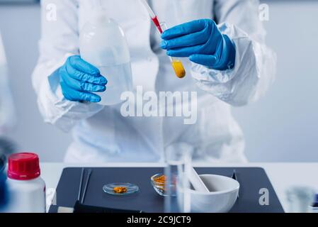 Esperto di controllo qualità che ispeziona la curcuma in laboratorio. Foto Stock