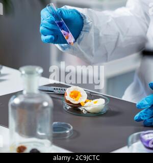 Esperto di controllo qualità che ispeziona un uovo in laboratorio. Foto Stock