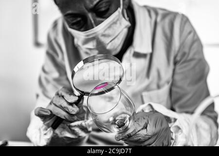 Esame di prova forense. Analista di laboratorio della polizia che esamina il vetro da una scena criminale, alla ricerca di impronte digitali. Foto Stock