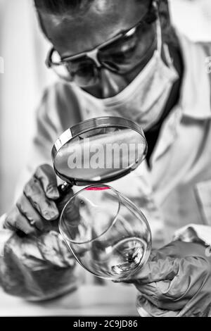 Esame di prova forense. Analista di laboratorio della polizia che esamina il vetro da una scena criminale, alla ricerca di impronte digitali. Foto Stock