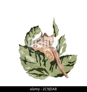 Foglie tropicali e l'illustrazione del gatto / vettore, tessitura bianca Illustrazione Vettoriale