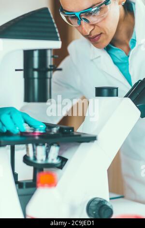 Donne scienziato che lavora in laboratorio. Foto Stock