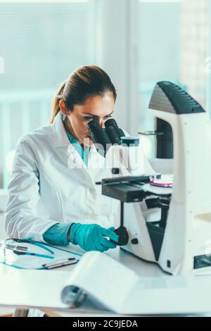 Chimico femminile o tecnico di laboratorio che ricerca campioni in laboratorio. Foto Stock
