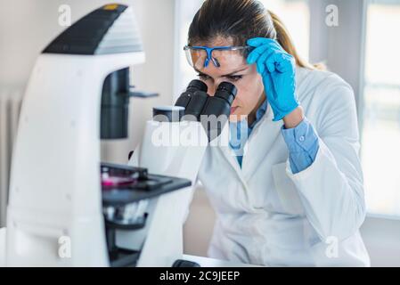 Chimico femminile o tecnico di laboratorio che ricerca campioni in laboratorio. Foto Stock